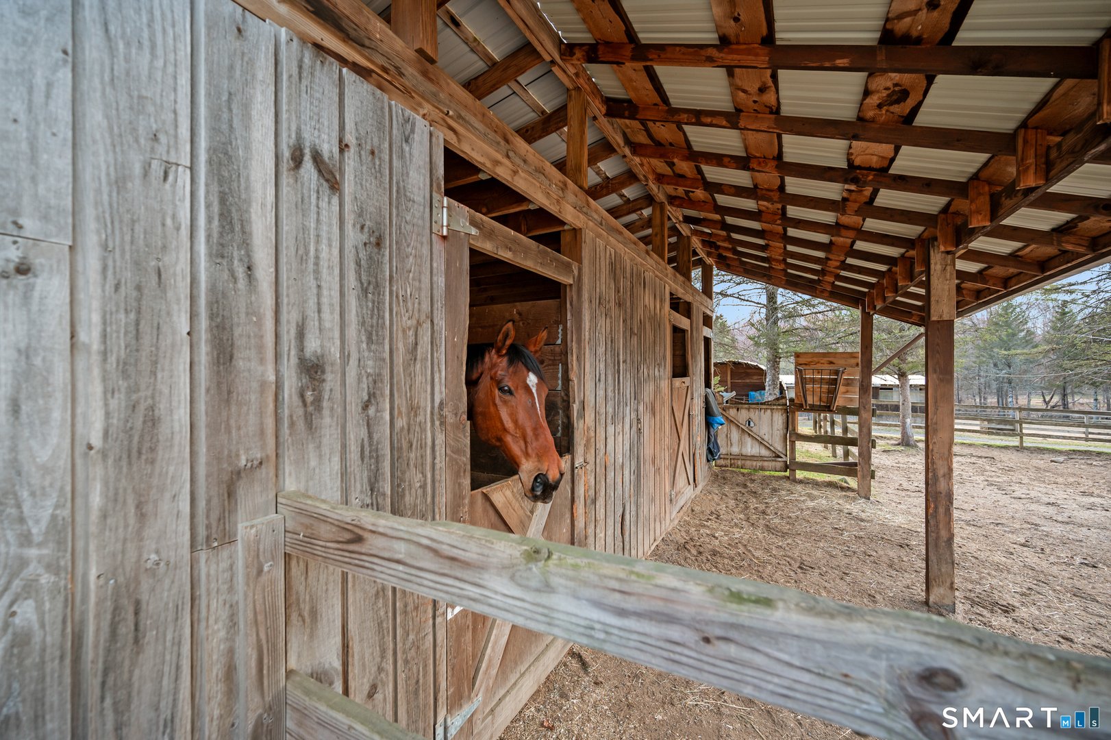 76 Cowles Road Photo 10