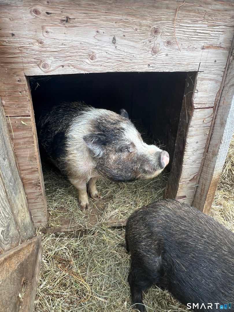 330 Ledge Drive Photo 21