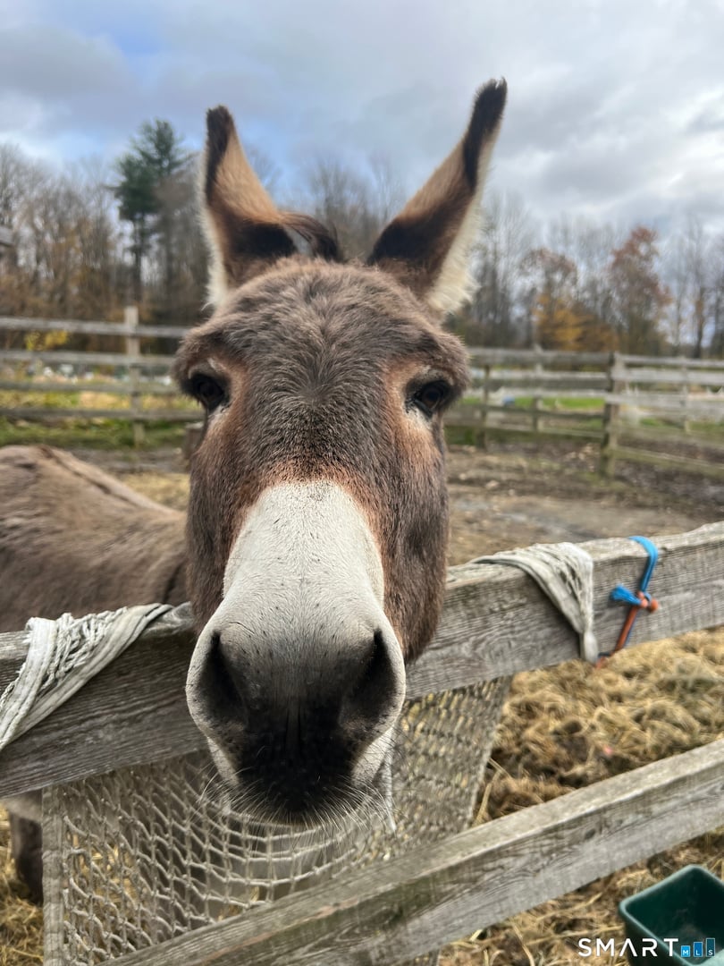 330 Ledge Drive Photo 23