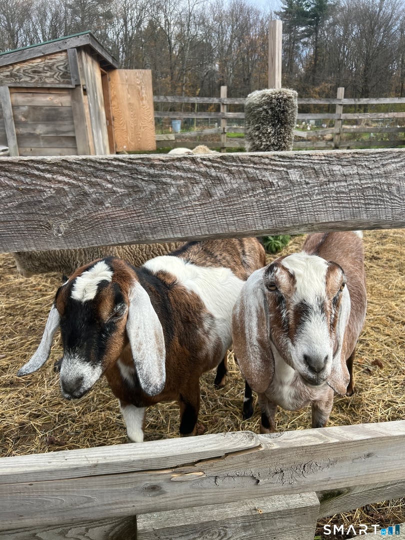 330 Ledge Drive Photo 24