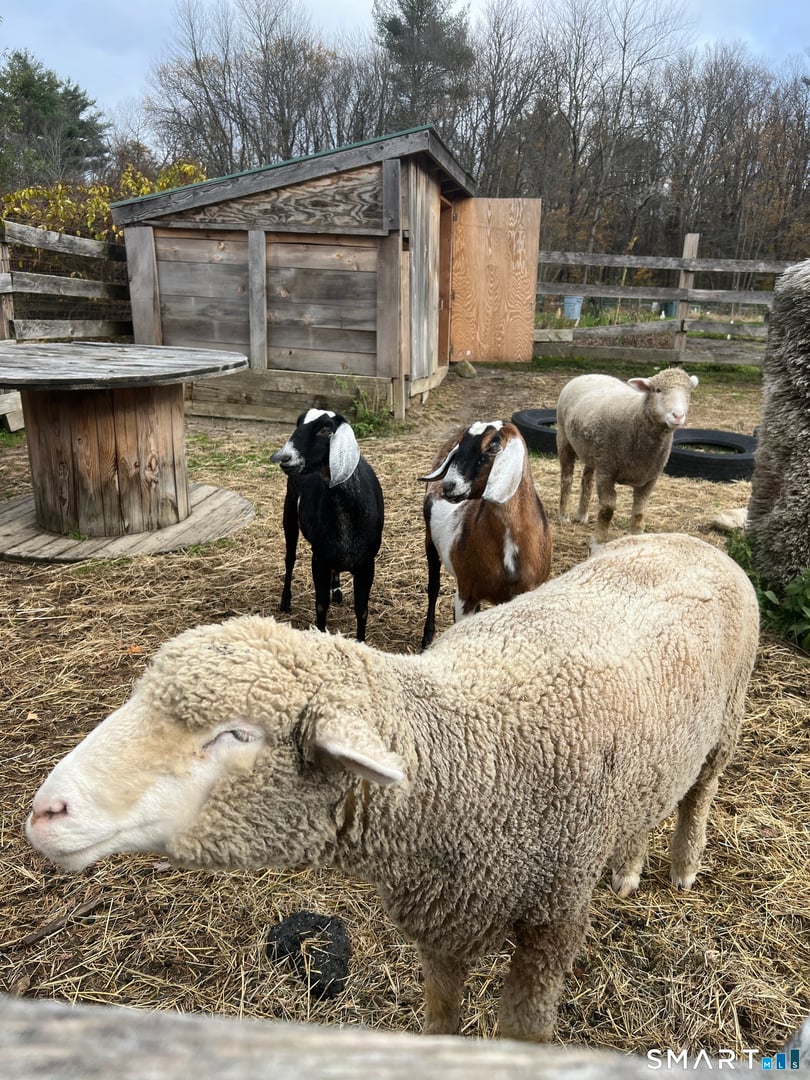 330 Ledge Drive Photo 25