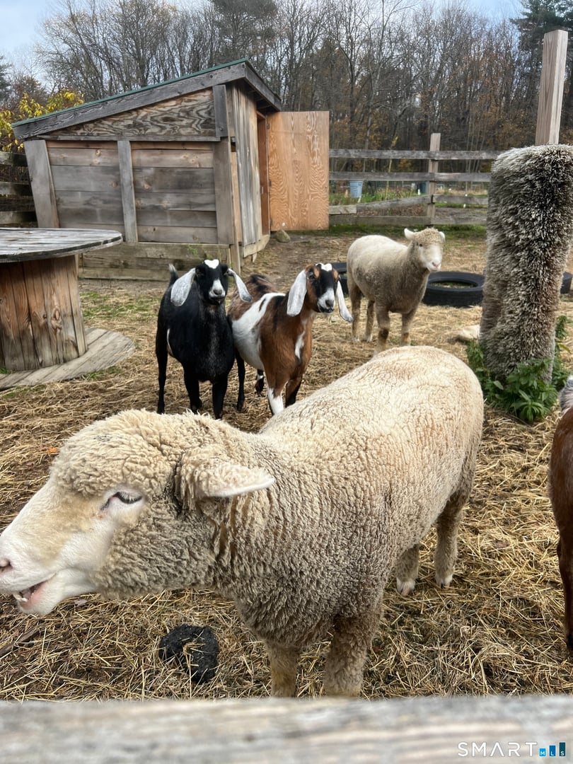 330 Ledge Drive Photo 26