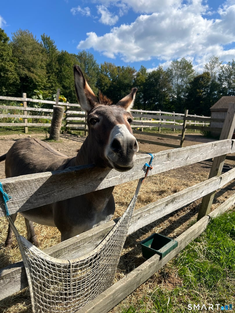 330 Ledge Drive Photo 27