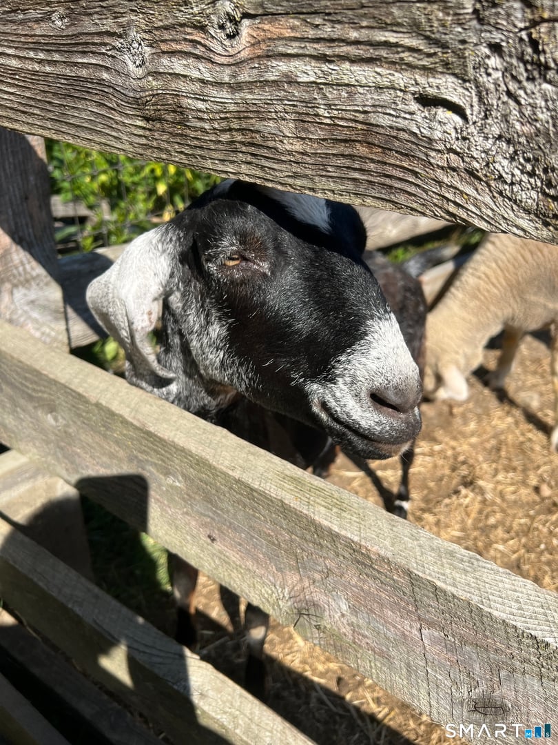 330 Ledge Drive Photo 28