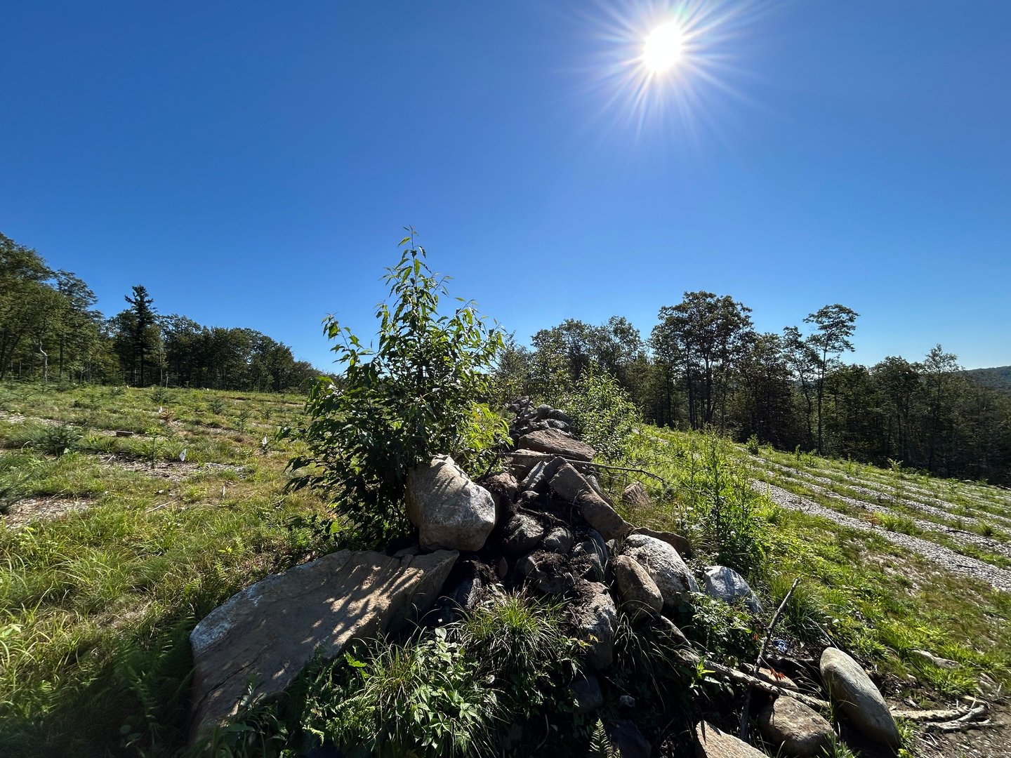 00 Prock Hill Road Photo 5