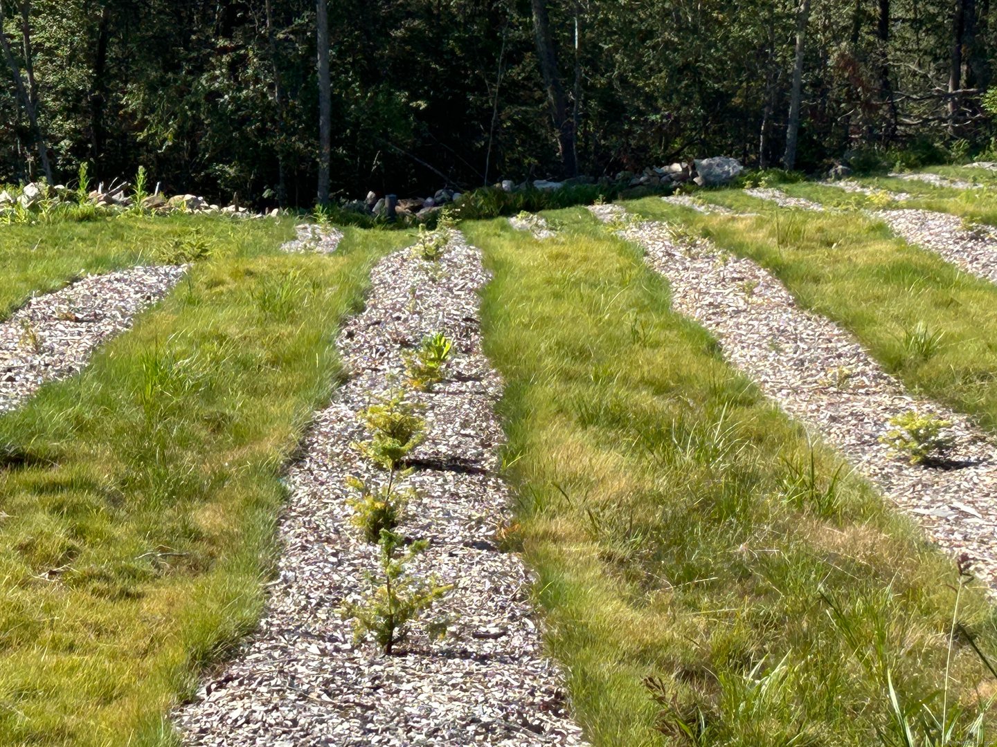 00 Prock Hill Road Photo 9