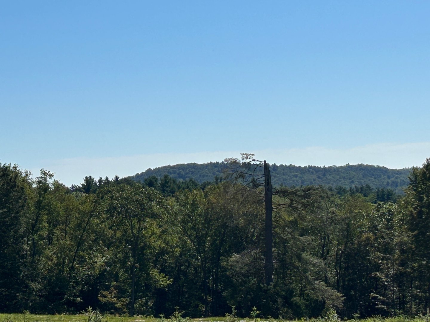 00 Prock Hill Road Photo 10