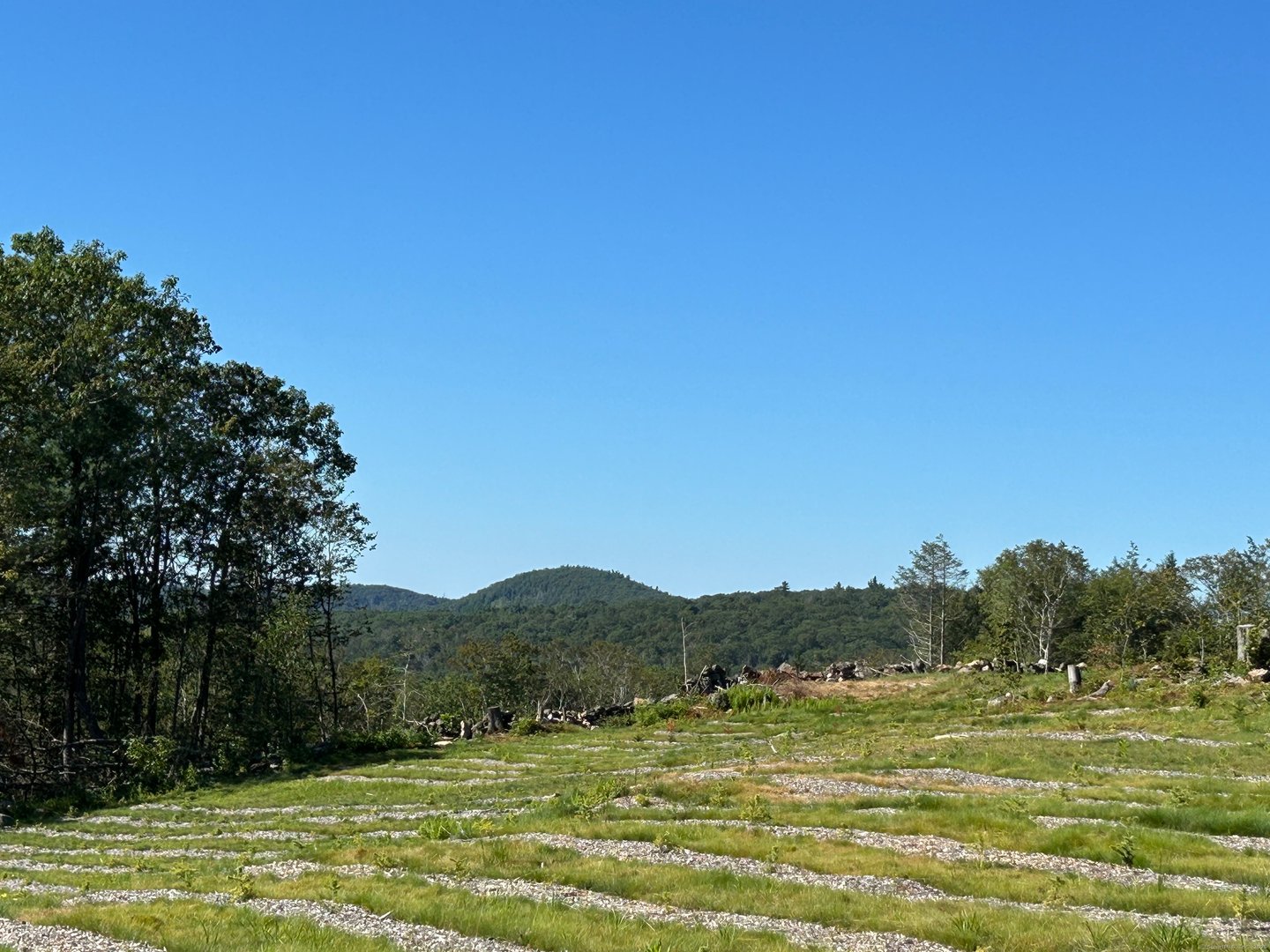 00 Prock Hill Road Photo 11