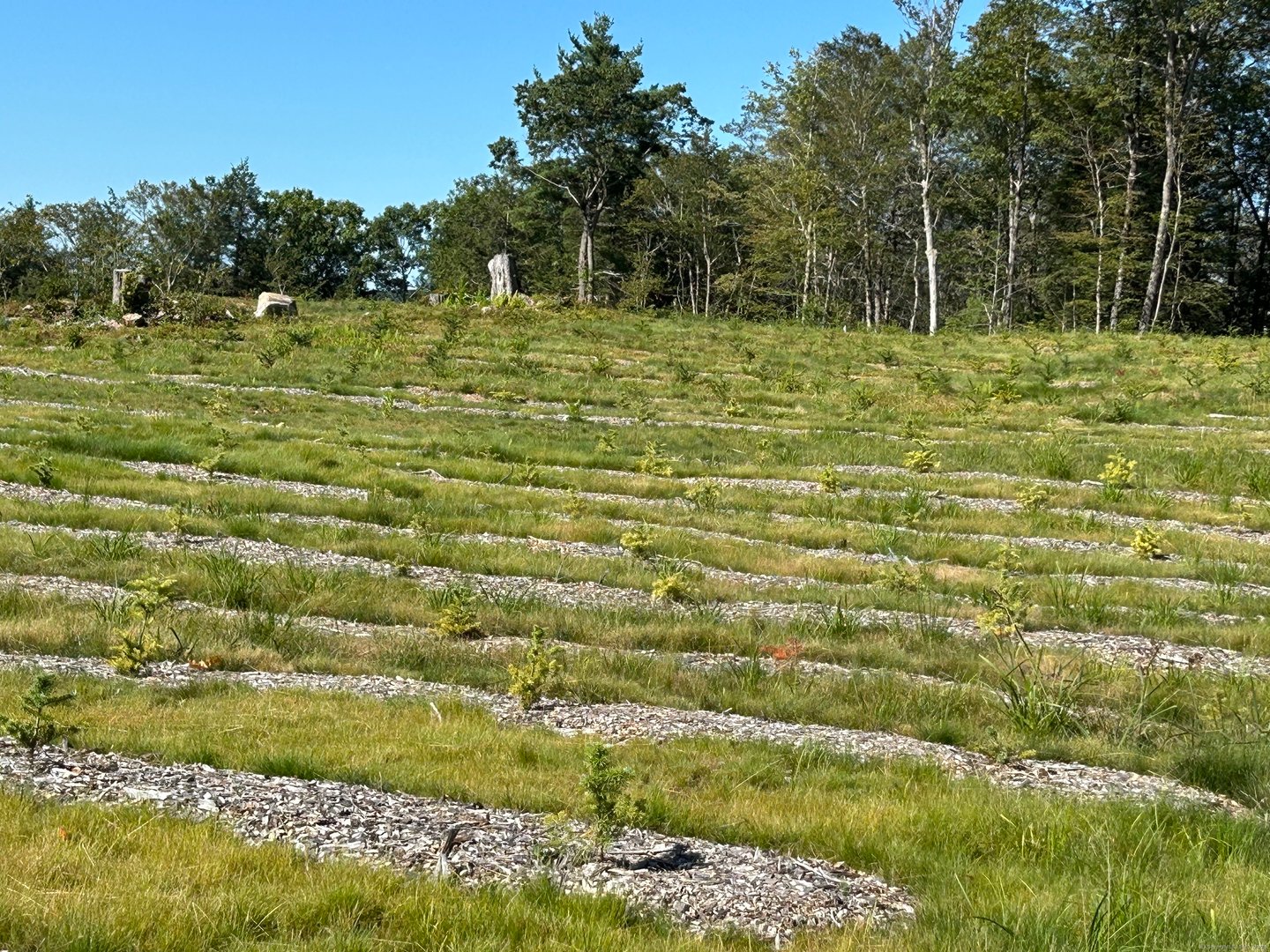 00 Prock Hill Road Photo 12