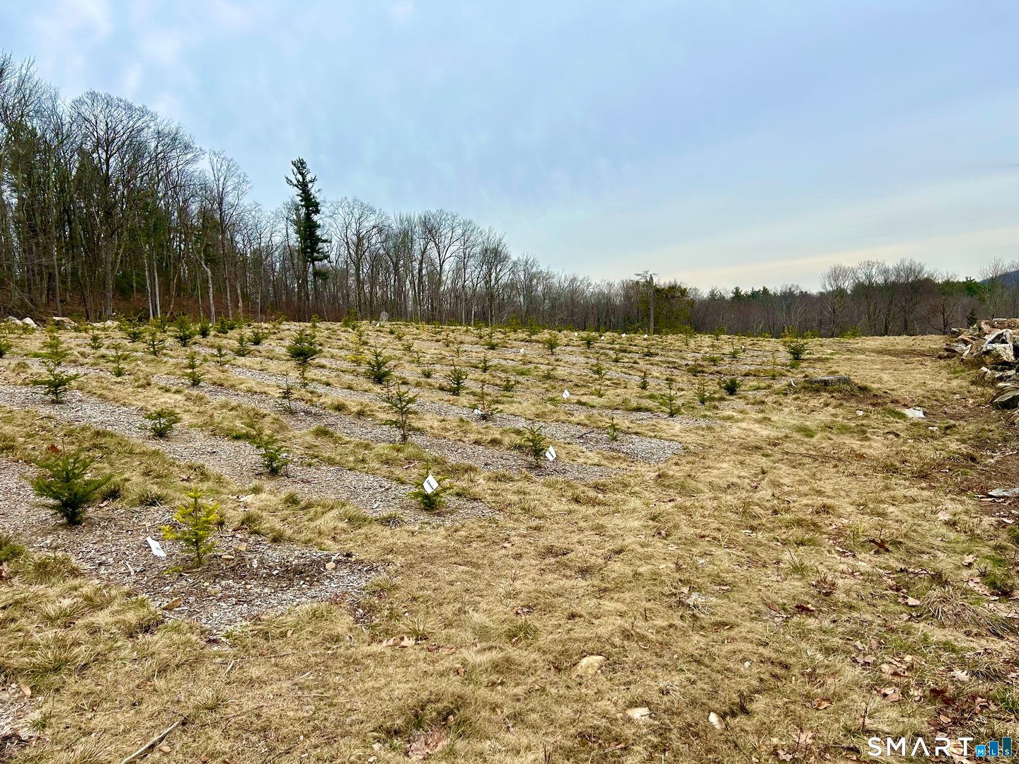 00 Prock Hill Road Photo 20