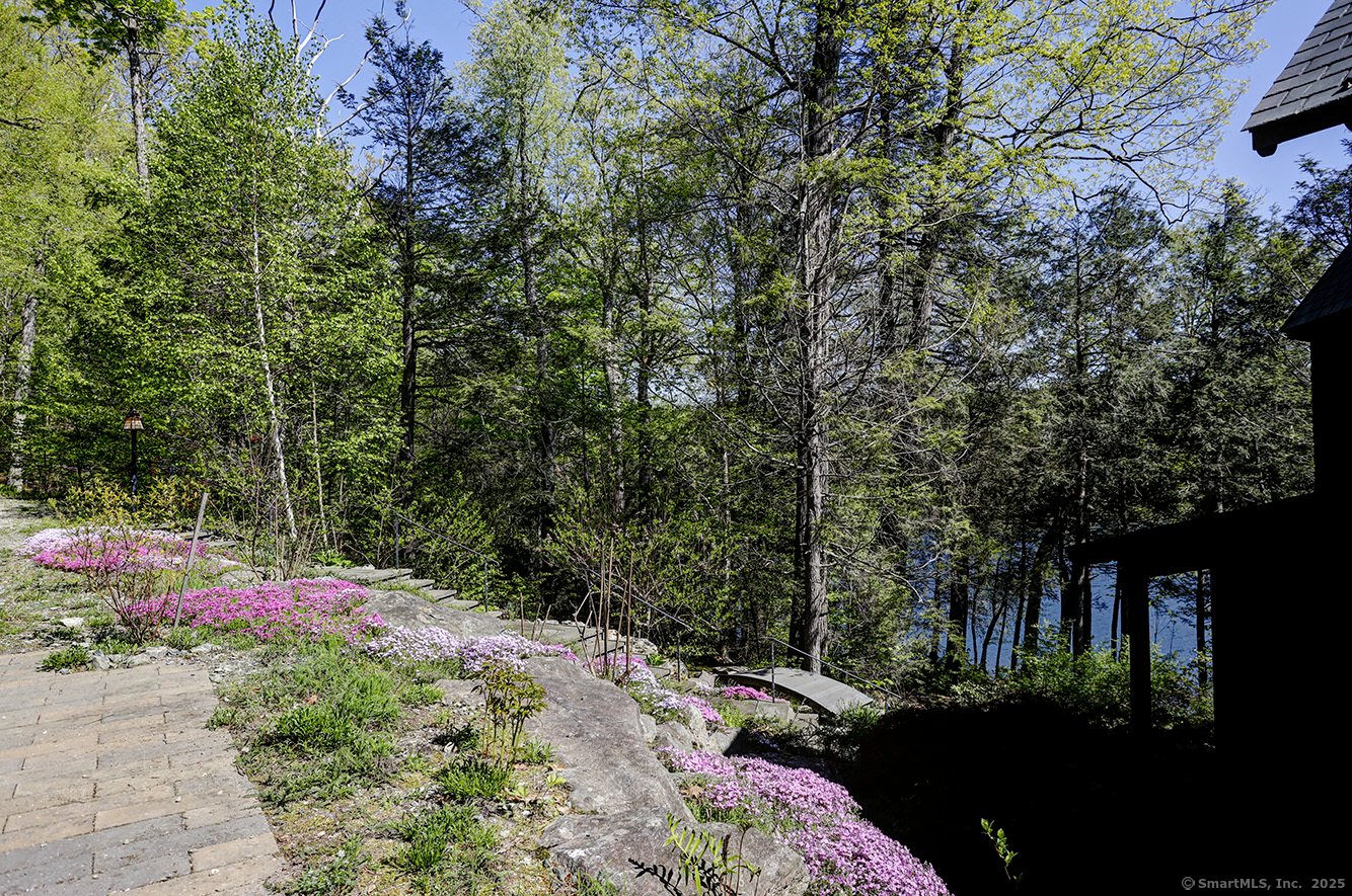 Norfolk Single Family Photo 3