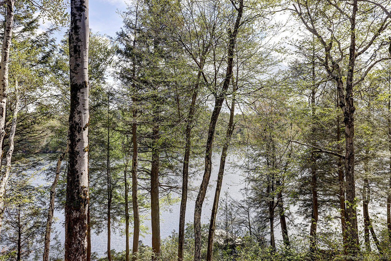 Norfolk Single Family Photo 4