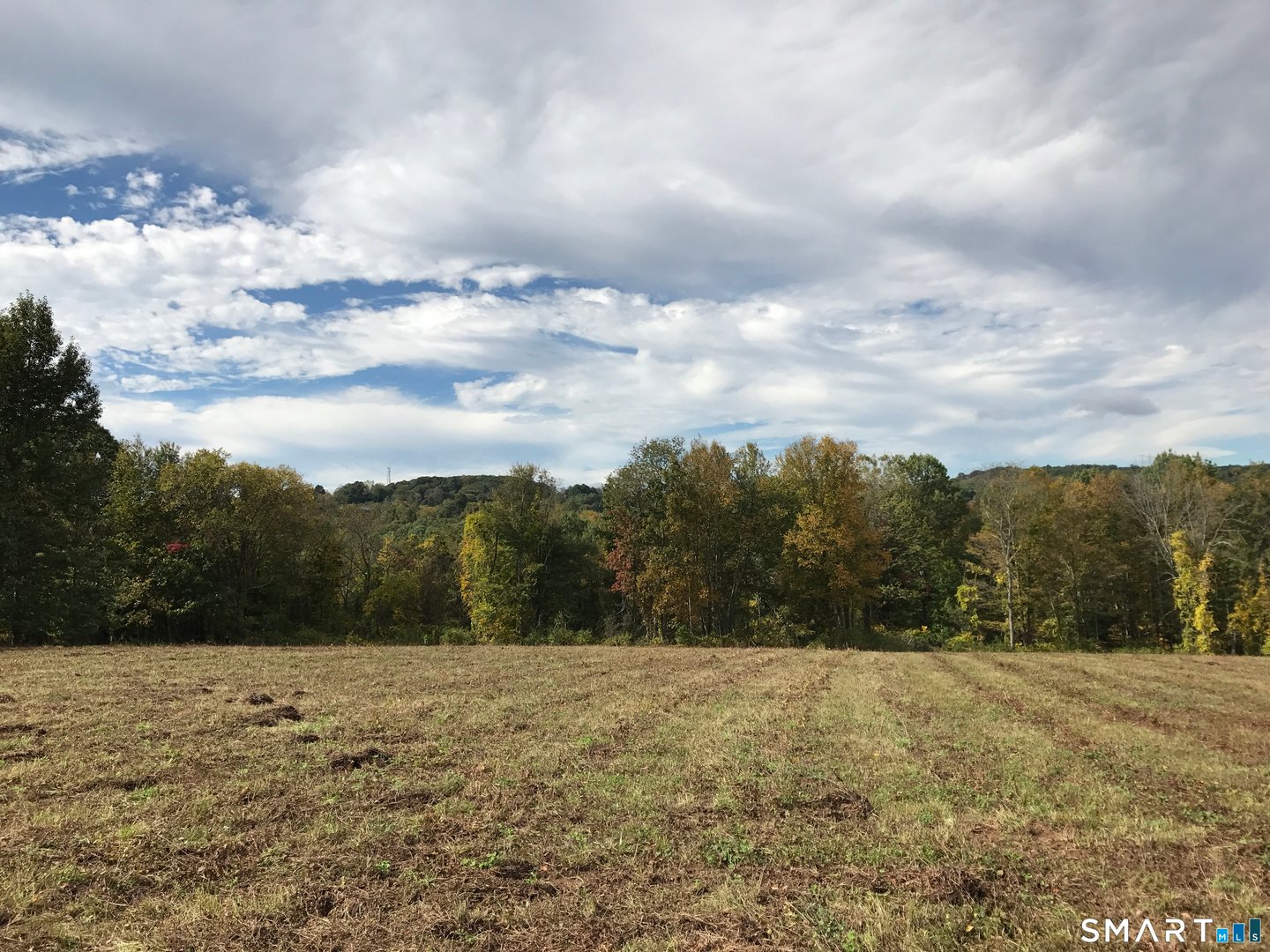 Washington Land Photo 1