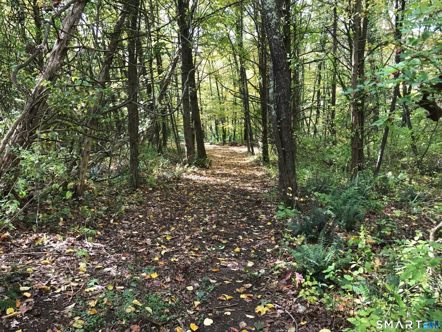 Washington Land Photo 6