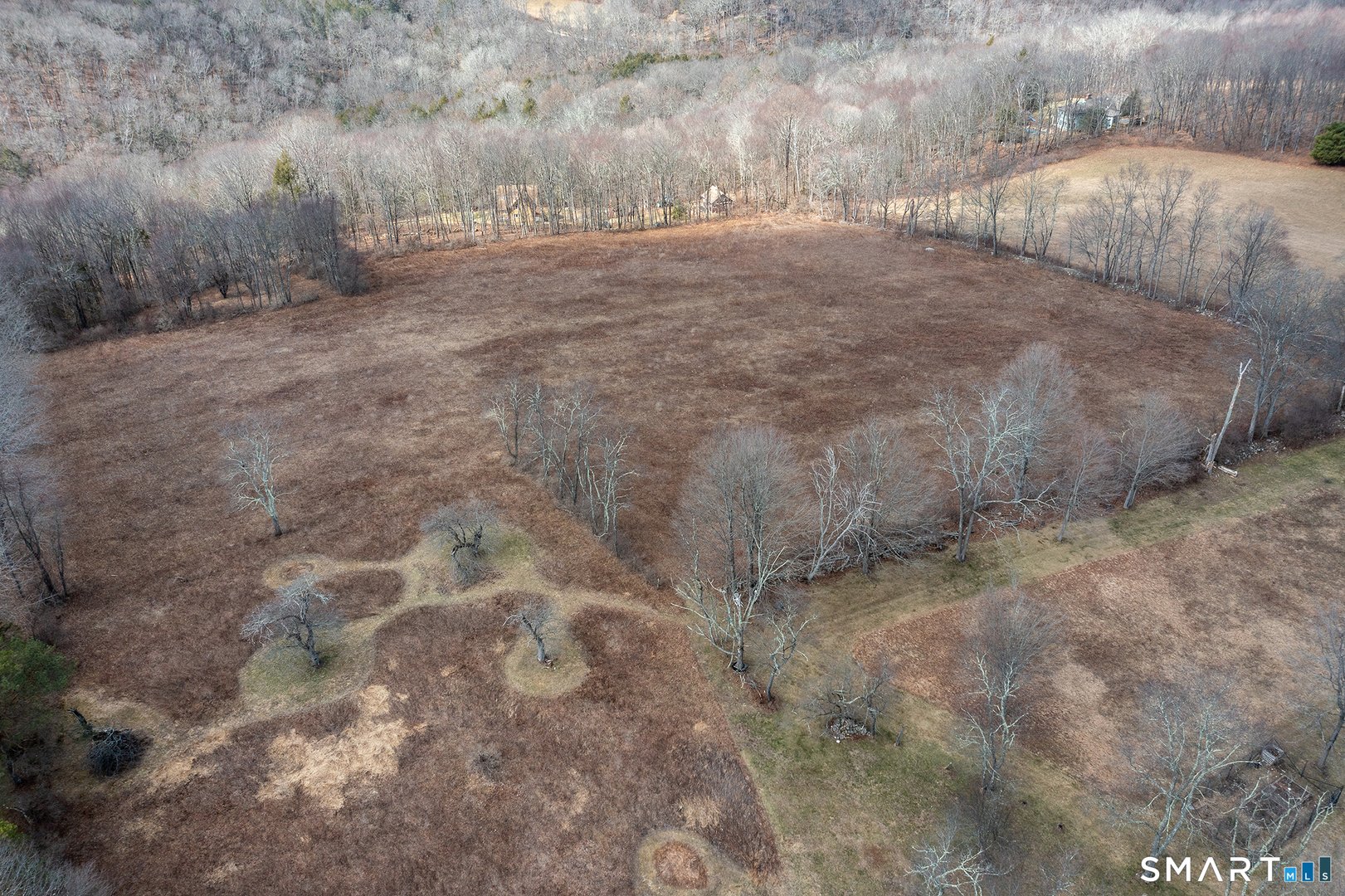 Washington Land Photo 16
