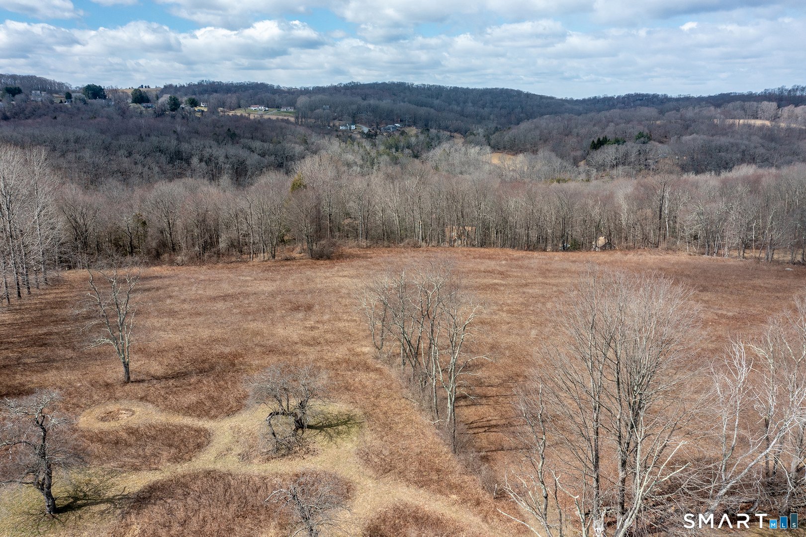 Washington Land Photo 17