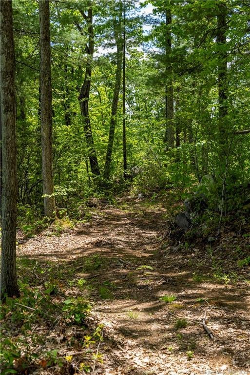 13 Dew Road Photo 14