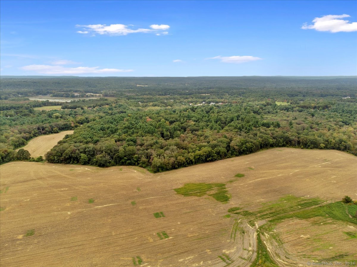 170 Bishop Crossing Road Photo 7