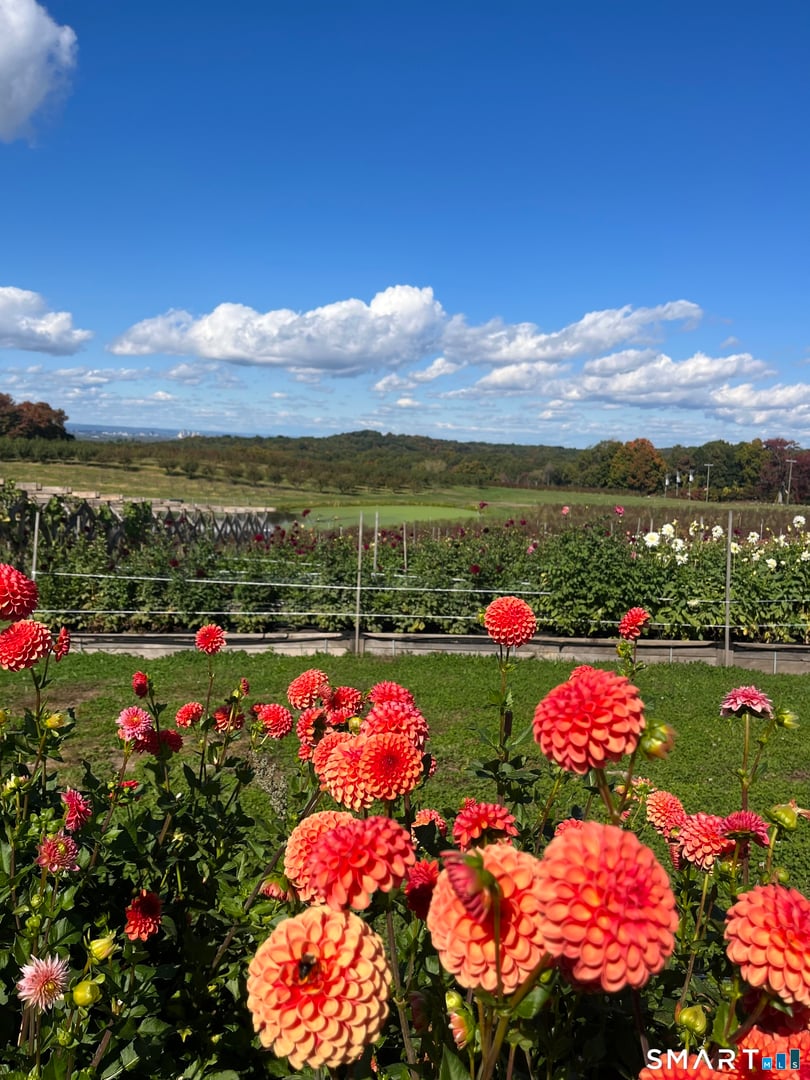 280-300 Matson Hill Road Photo 11