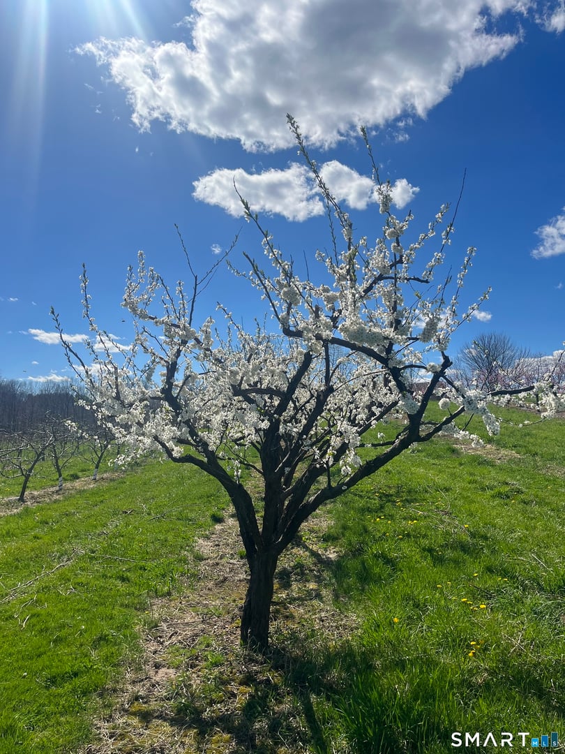 280-300 Matson Hill Road Photo 17