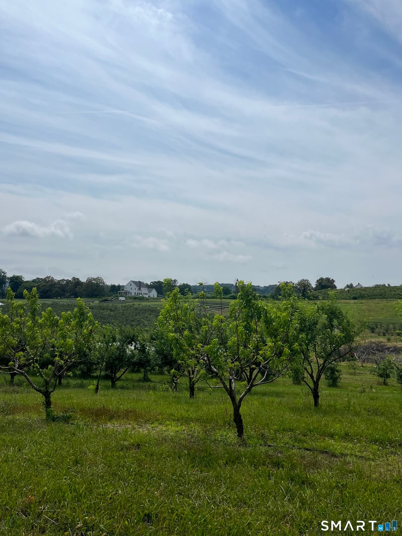 280-300 Matson Hill Road Photo 20