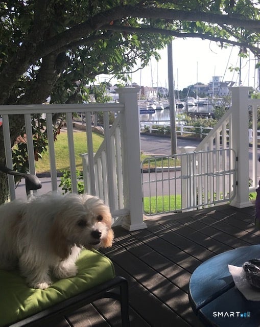 6 Leeway Drive Photo 24