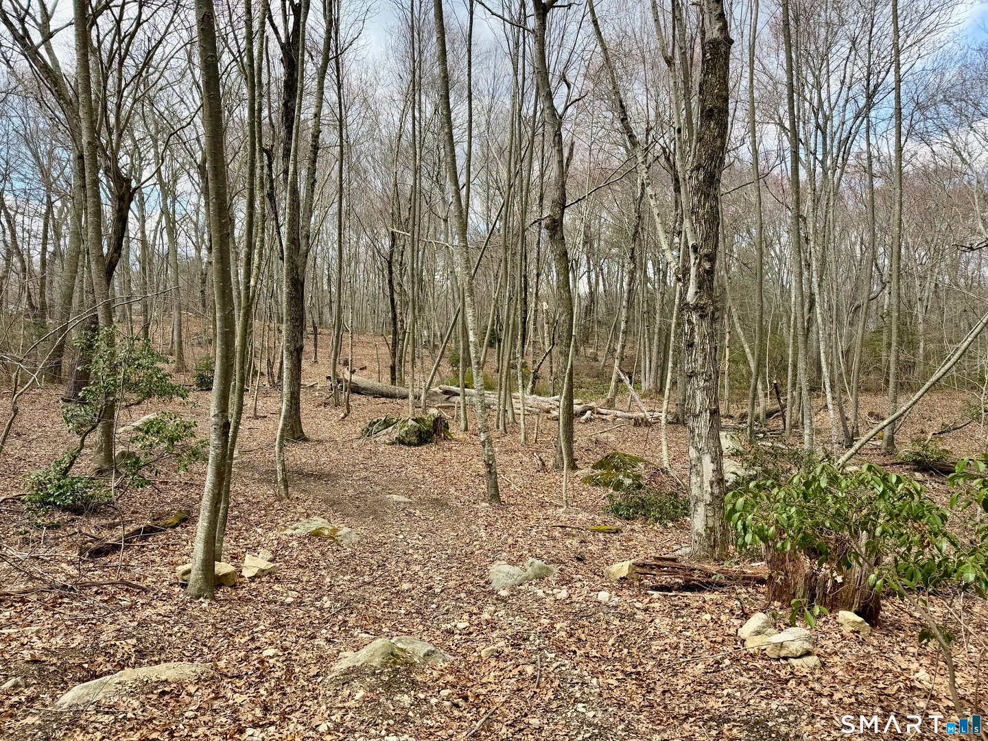 241 Niantic River Road Photo 18