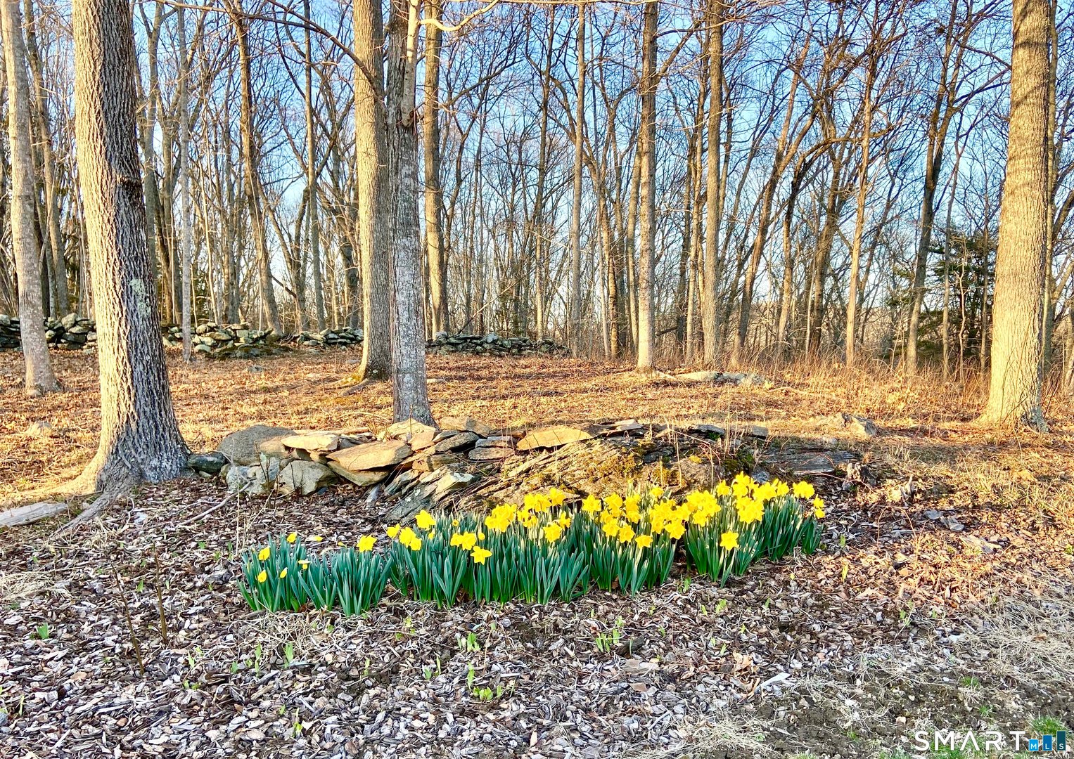 15 Mains Way Photo 34