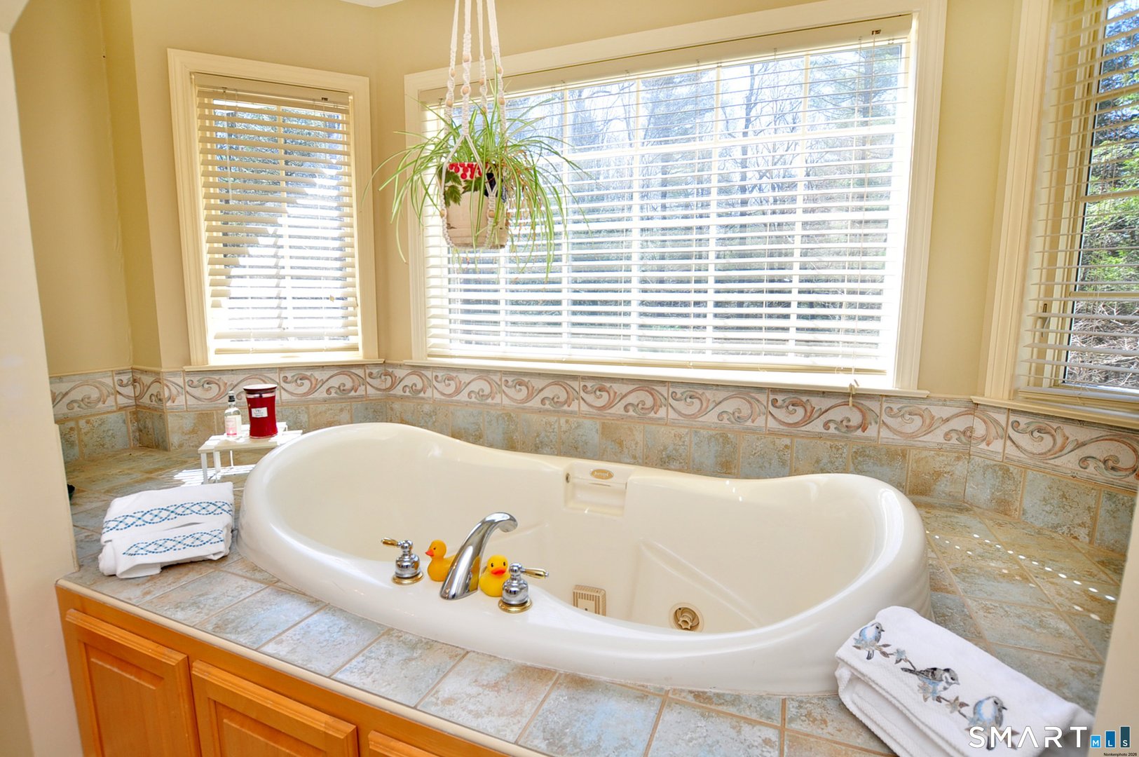 16 Stonewall Drive Photo 37