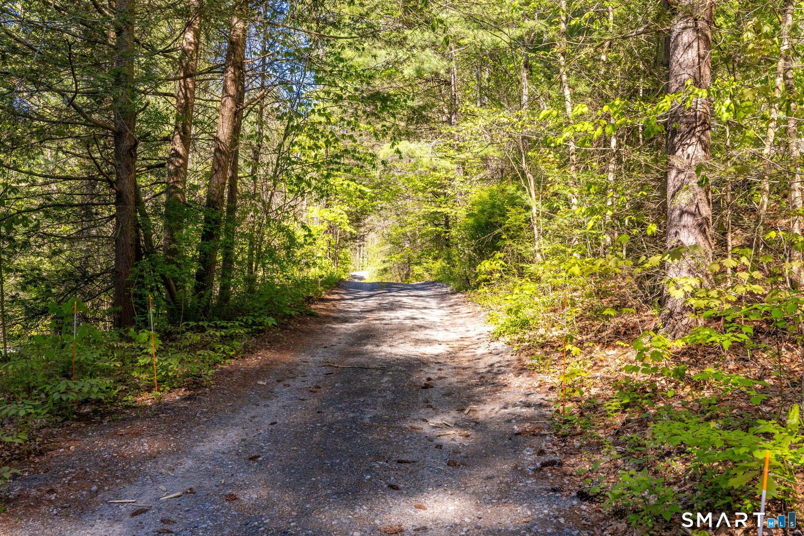 93 Eno Hill Road Photo 39
