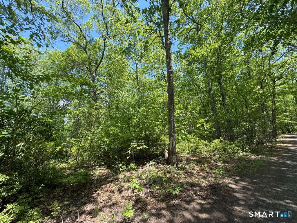 Bunker Hill Road Photo 2