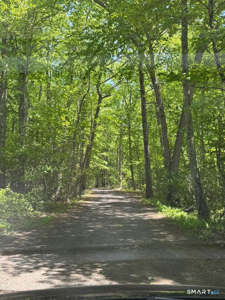 Bunker Hill Road Photo 3