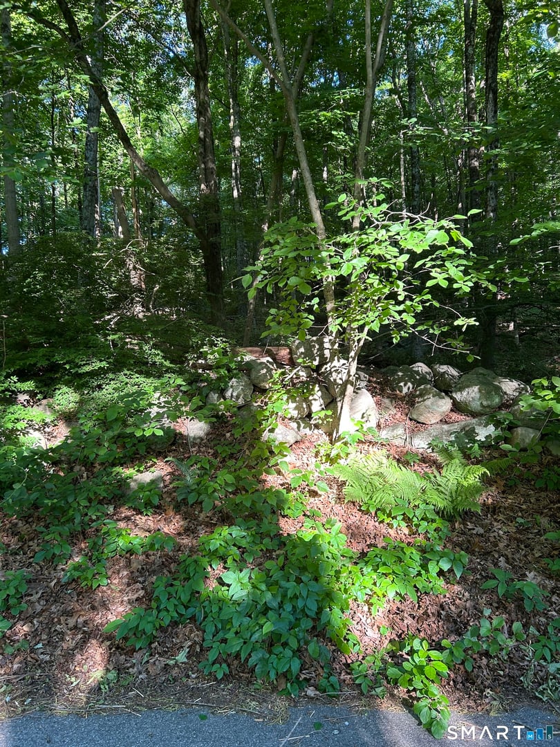 Cobbs Mill Road Photo 1