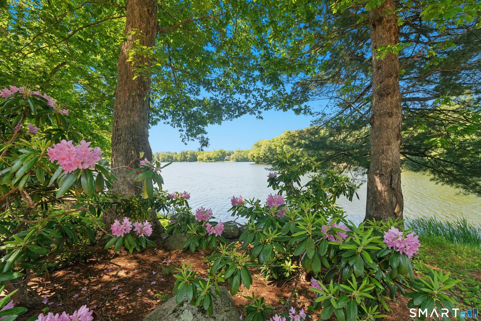 141 Canoe Brook Road Photo 34