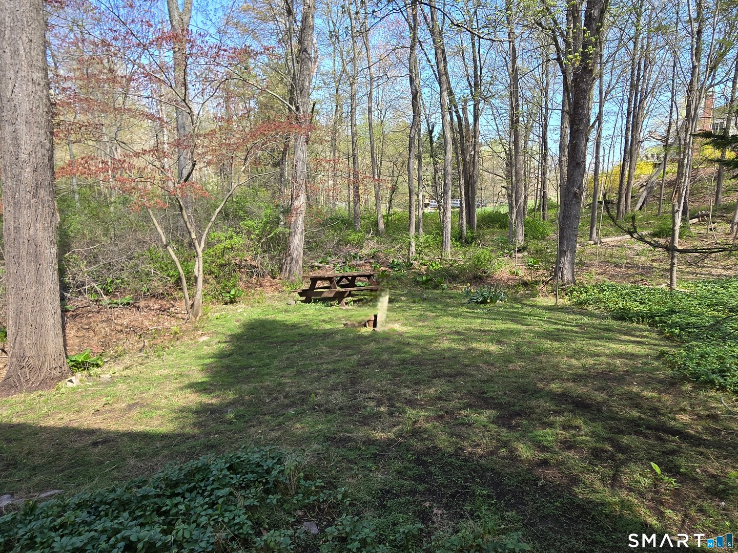 299 Redding Road Photo 32