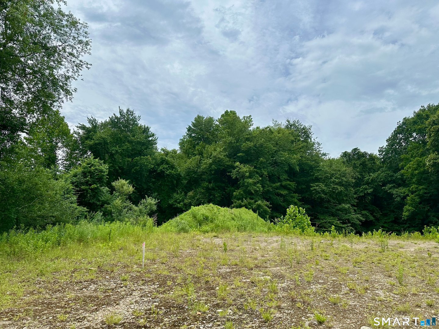 32 Birchwood Lane Photo 5