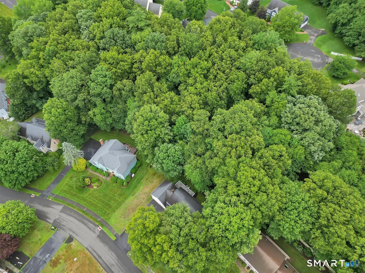 11 Dunne Wood Court Photo 7
