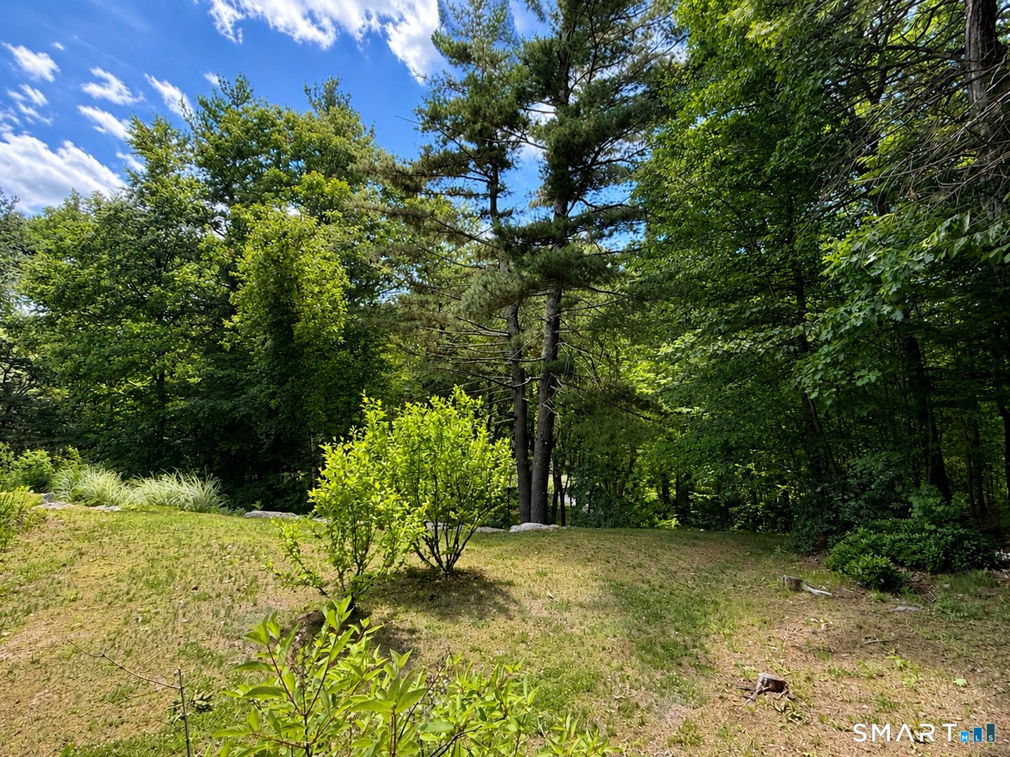 44 Pine Road Photo 13