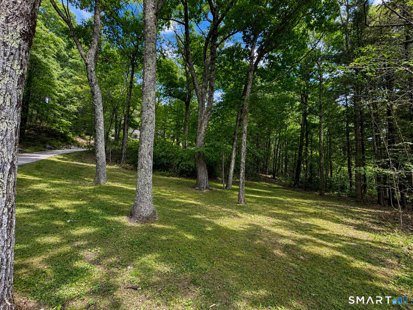 44 Pine Road Photo 16