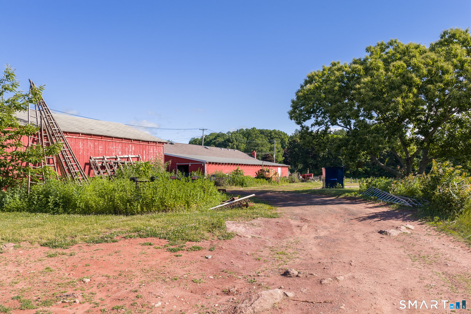 810 Dunbar Hill Road Photo 16