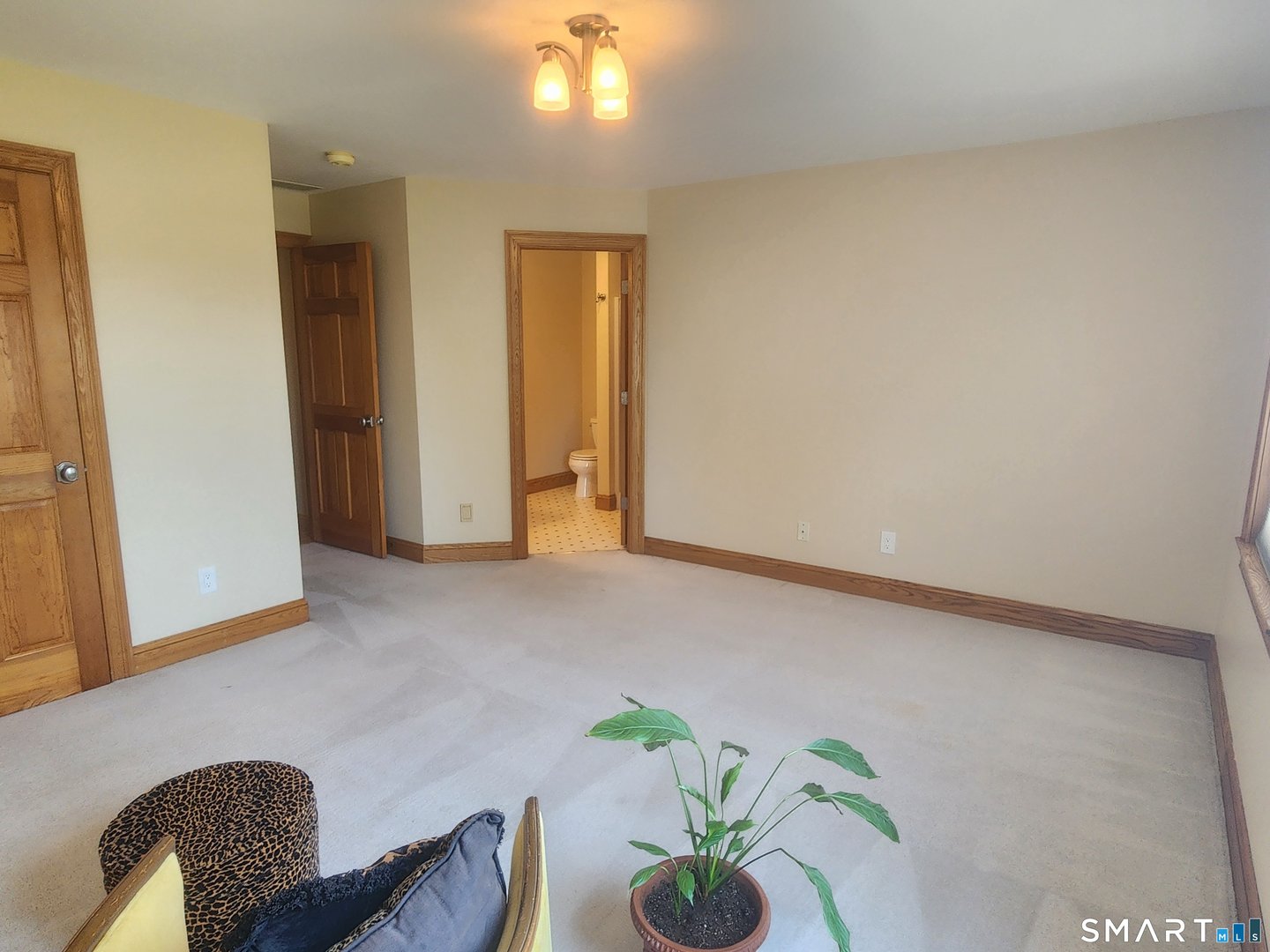 38 Emerald Glen Lane Photo 34