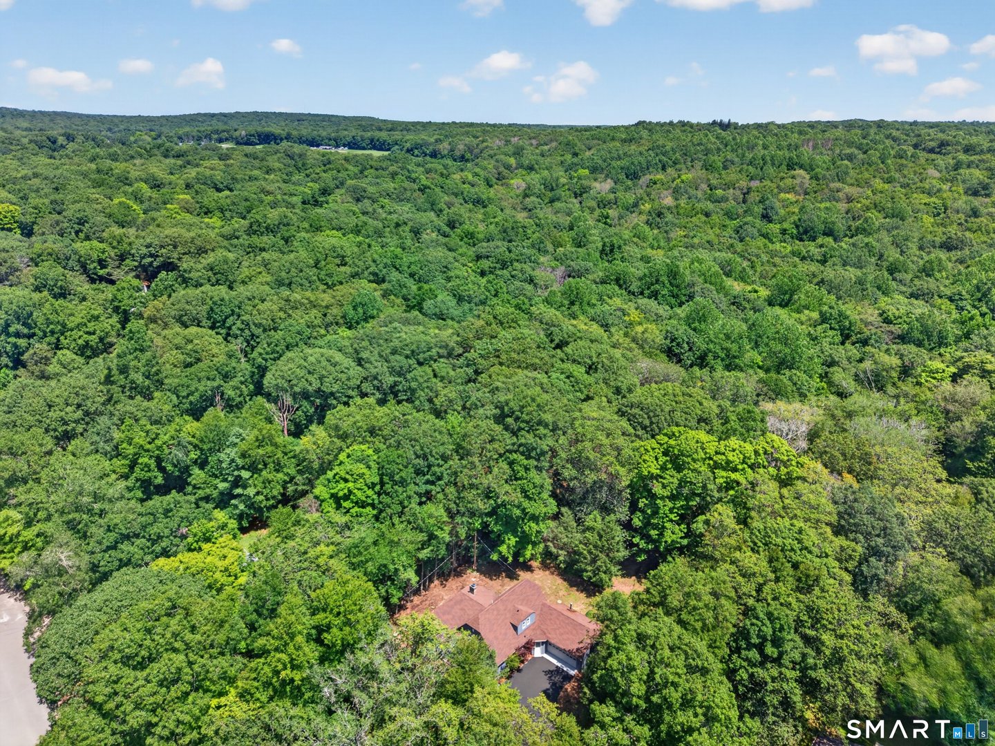 21 Woodland Drive Photo 35