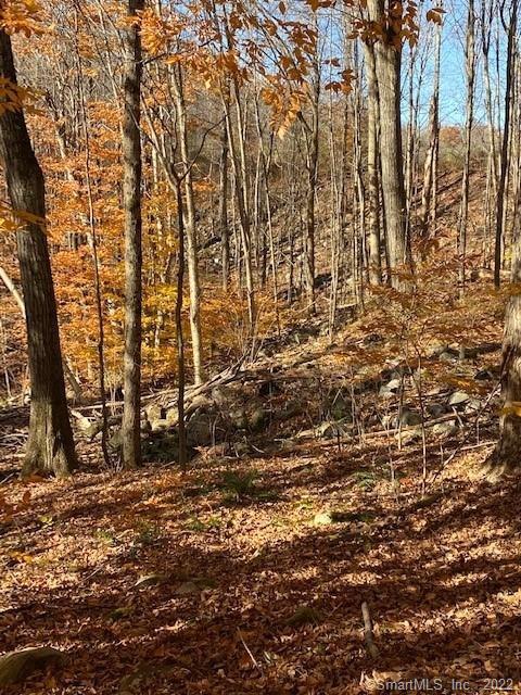 0 Reservoir Rd And Pie Hill Rd Road Photo 8