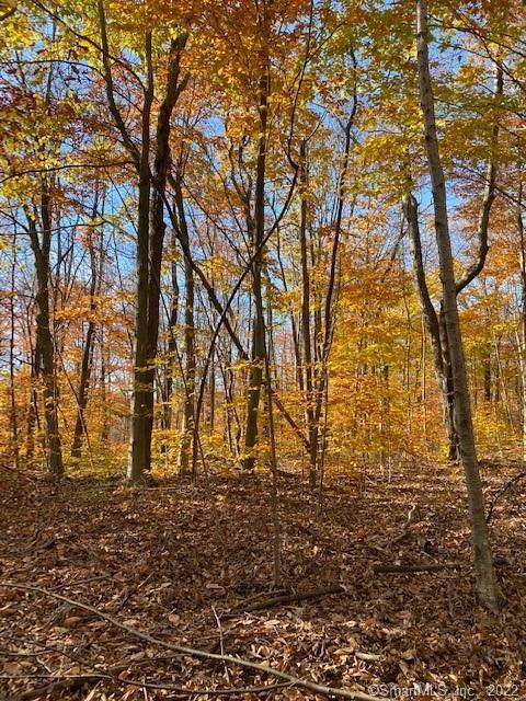 0 Reservoir Rd And Pie Hill Rd Road Photo 11