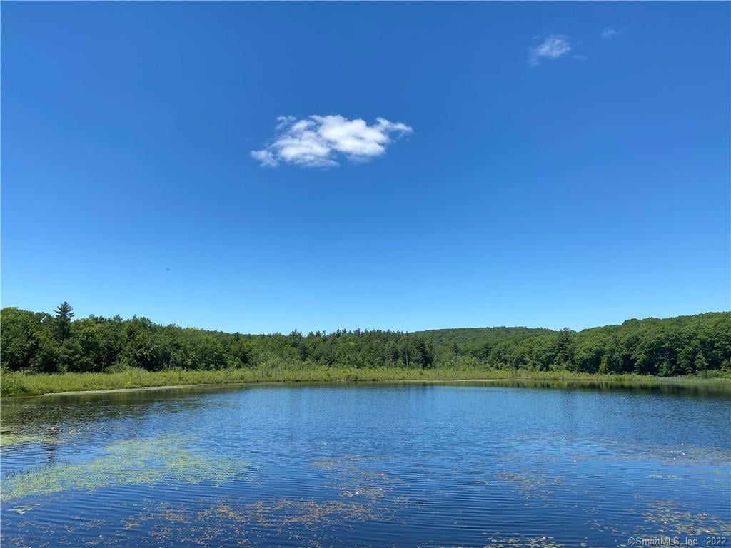 00 Greenwoods Road East Photo 3