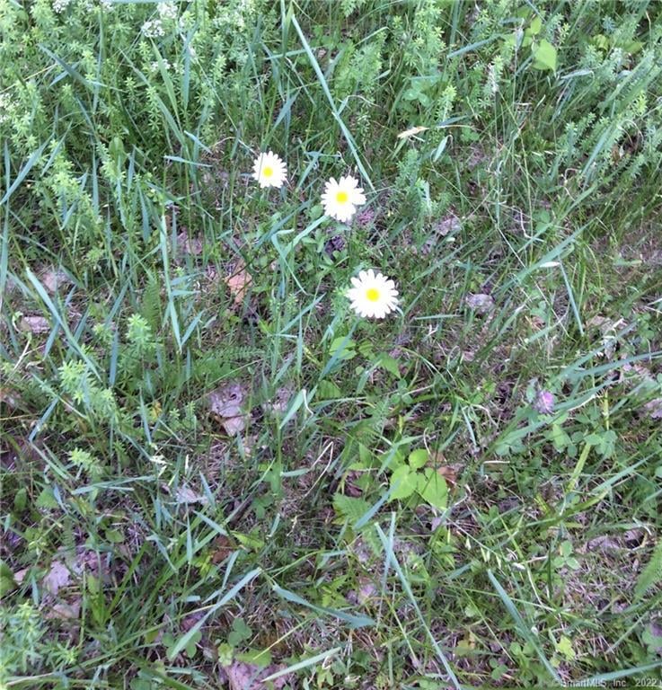 00 Greenwoods Road East Photo 5