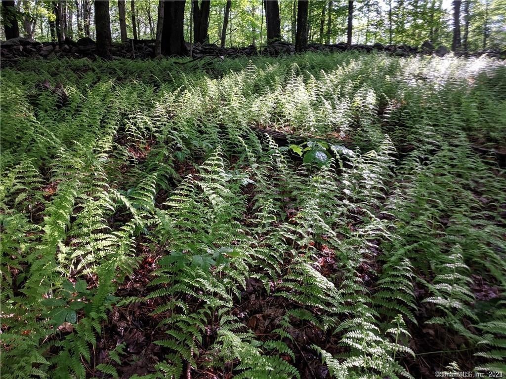 00 Greenwoods Road East Photo 7