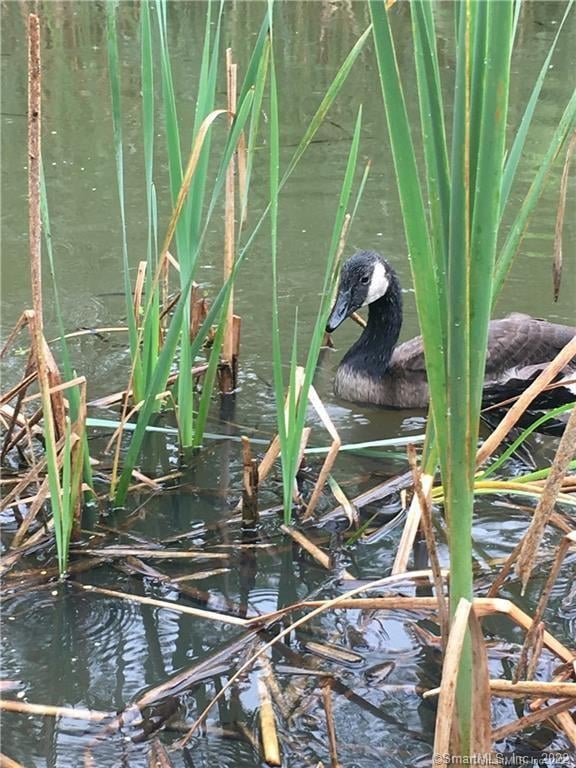 00 Greenwoods Road East Photo 9