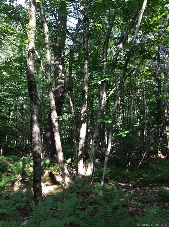 00 Greenwoods Road East Photo 10