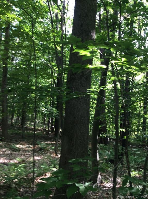 00 Greenwoods Road East Photo 11